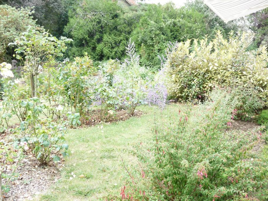 Clos Fleuri : Amboise Home With Amazing Gardens Esterno foto